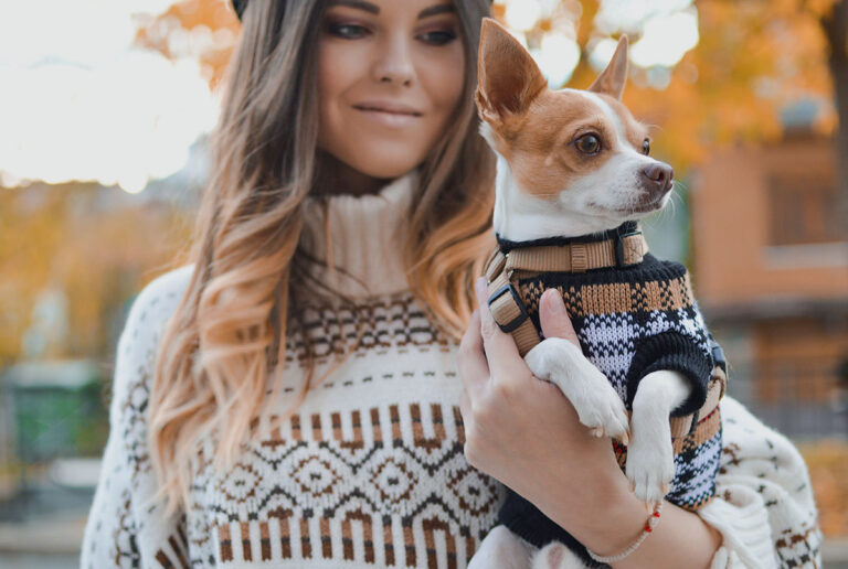 Dog Star Daily – The Dog Blog