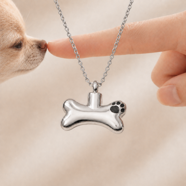 Stainless Steel Bone Paw Pet Ashes Necklace