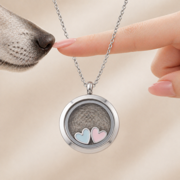 Heart Pet Fur / Tooth / Ashes Necklace
